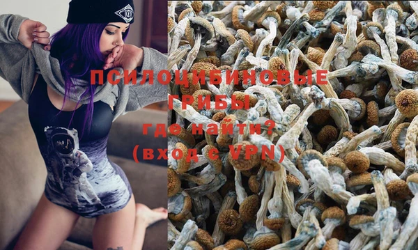 дживик Гусь-Хрустальный